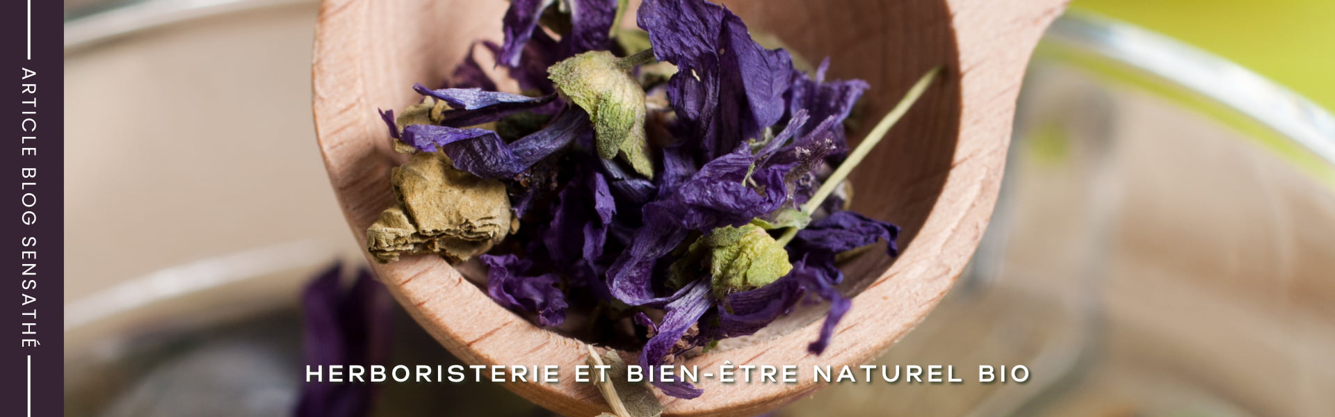Plante laxative pour favoriser le transit - Herboristerie BIO